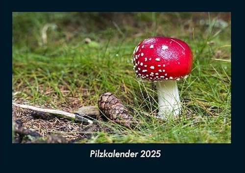 Pilzkalender 2025 Fotokalender DIN A4: Monatskalender mit Bild-Motiven aus Fauna und Flora, Natur, Blumen und Pflanzen Pilzkalender 2025 Fotokalender DIN A4: Monatskalender mit Bild-Motiven aus Fauna und Flora, Natur, Blumen und Pflanzen