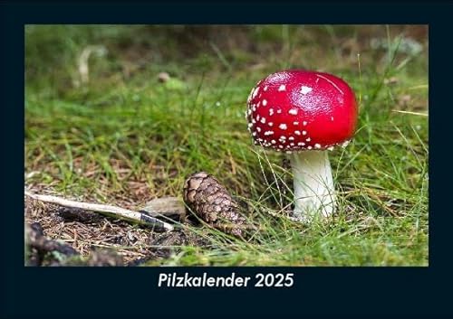 Pilzkalender 2025 Fotokalender DIN A5: Monatskalender mit Bild-Motiven aus Fauna und Flora, Natur, Blumen und Pflanzen Pilzkalender 2025 Fotokalender DIN A5: Monatskalender mit Bild-Motiven aus Fauna und Flora, Natur, Blumen und Pflanzen