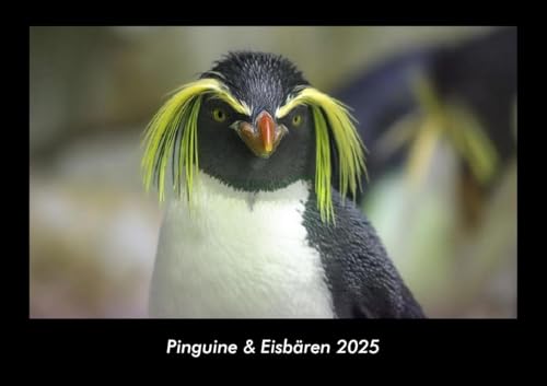 Pinguine & Eisbären 2025 Fotokalender DIN A3: Monatskalender mit Bild-Motiven von Haustieren, Bauernhof, wilden Tieren und Raubtieren Pinguine & Eisbären 2025 Fotokalender DIN A3: Monatskalender mit Bild-Motiven von Haustieren, Bauernhof, wilden Tieren und Raubtieren