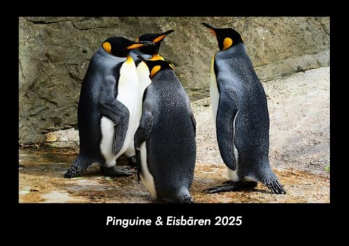 Pinguine & Eisbären 2025 Fotokalender DIN A3: Monatskalender mit Bild-Motiven von Haustieren, Bauernhof, wilden Tieren und Raubtieren Pinguine & Eisbären 2025 Fotokalender DIN A3: Monatskalender mit Bild-Motiven von Haustieren, Bauernhof, wilden Tieren und Raubtieren