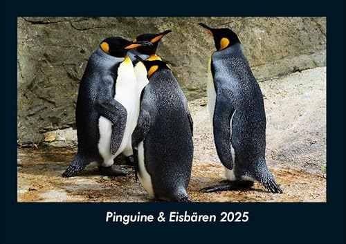 Pinguine & Eisbären 2025 Fotokalender DIN A4: Monatskalender mit Bild-Motiven von Haustieren, Bauernhof, wilden Tieren und Raubtieren Pinguine & Eisbären 2025 Fotokalender DIN A4: Monatskalender mit Bild-Motiven von Haustieren, Bauernhof, wilden Tieren und Raubtieren