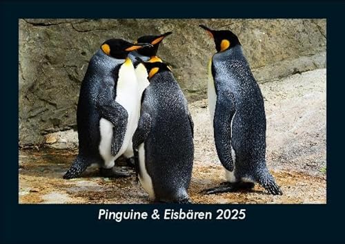 Pinguine & Eisbären 2025 Fotokalender DIN A5: Monatskalender mit Bild-Motiven von Haustieren, Bauernhof, wilden Tieren und Raubtieren Pinguine & Eisbären 2025 Fotokalender DIN A5: Monatskalender mit Bild-Motiven von Haustieren, Bauernhof, wilden Tieren und Raubtieren