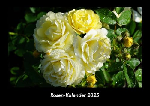 Rosen-Kalender 2025 Fotokalender DIN A3: Monatskalender mit Bild-Motiven aus Fauna und Flora, Natur, Blumen und Pflanzen Rosen-Kalender 2025 Fotokalender DIN A3: Monatskalender mit Bild-Motiven aus Fauna und Flora, Natur, Blumen und Pflanzen