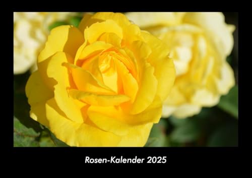 Rosen-Kalender 2025 Fotokalender DIN A3: Monatskalender mit Bild-Motiven aus Fauna und Flora, Natur, Blumen und Pflanzen Rosen-Kalender 2025 Fotokalender DIN A3: Monatskalender mit Bild-Motiven aus Fauna und Flora, Natur, Blumen und Pflanzen