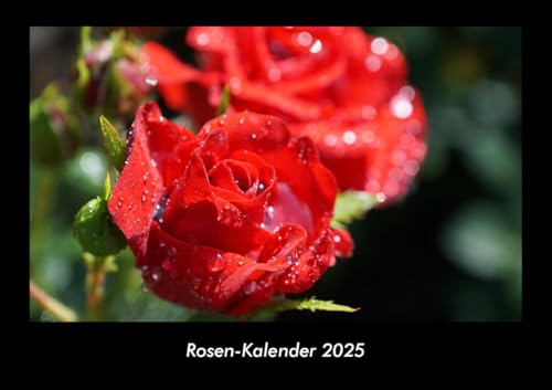 Rosen-Kalender 2025 Fotokalender DIN A3: Monatskalender mit Bild-Motiven aus Fauna und Flora, Natur, Blumen und Pflanzen Rosen-Kalender 2025 Fotokalender DIN A3: Monatskalender mit Bild-Motiven aus Fauna und Flora, Natur, Blumen und Pflanzen