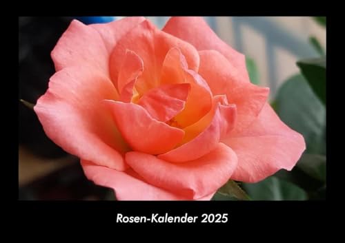 Rosen-Kalender 2025 Fotokalender DIN A3: Monatskalender mit Bild-Motiven aus Fauna und Flora, Natur, Blumen und Pflanzen Rosen-Kalender 2025 Fotokalender DIN A3: Monatskalender mit Bild-Motiven aus Fauna und Flora, Natur, Blumen und Pflanzen