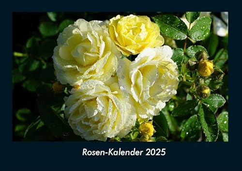 Rosen-Kalender 2025 Fotokalender DIN A4: Monatskalender mit Bild-Motiven aus Fauna und Flora, Natur, Blumen und Pflanzen Rosen-Kalender 2025 Fotokalender DIN A4: Monatskalender mit Bild-Motiven aus Fauna und Flora, Natur, Blumen und Pflanzen