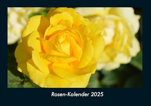 Rosen-Kalender 2025 Fotokalender DIN A4: Monatskalender mit Bild-Motiven aus Fauna und Flora, Natur, Blumen und Pflanzen Rosen-Kalender 2025 Fotokalender DIN A4: Monatskalender mit Bild-Motiven aus Fauna und Flora, Natur, Blumen und Pflanzen