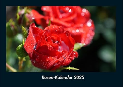 Rosen-Kalender 2025 Fotokalender DIN A4: Monatskalender mit Bild-Motiven aus Fauna und Flora, Natur, Blumen und Pflanzen Rosen-Kalender 2025 Fotokalender DIN A4: Monatskalender mit Bild-Motiven aus Fauna und Flora, Natur, Blumen und Pflanzen