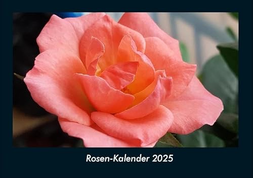 Rosen-Kalender 2025 Fotokalender DIN A4: Monatskalender mit Bild-Motiven aus Fauna und Flora, Natur, Blumen und Pflanzen Rosen-Kalender 2025 Fotokalender DIN A4: Monatskalender mit Bild-Motiven aus Fauna und Flora, Natur, Blumen und Pflanzen