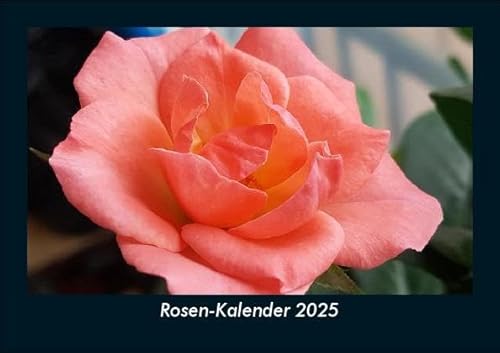 Rosen-Kalender 2025 Fotokalender DIN A5: Monatskalender mit Bild-Motiven aus Fauna und Flora, Natur, Blumen und Pflanzen Rosen-Kalender 2025 Fotokalender DIN A5: Monatskalender mit Bild-Motiven aus Fauna und Flora, Natur, Blumen und Pflanzen