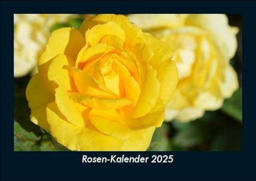 Rosen-Kalender 2025 Fotokalender DIN A5: Monatskalender mit Bild-Motiven aus Fauna und Flora, Natur, Blumen und Pflanzen Rosen-Kalender 2025 Fotokalender DIN A5: Monatskalender mit Bild-Motiven aus Fauna und Flora, Natur, Blumen und Pflanzen