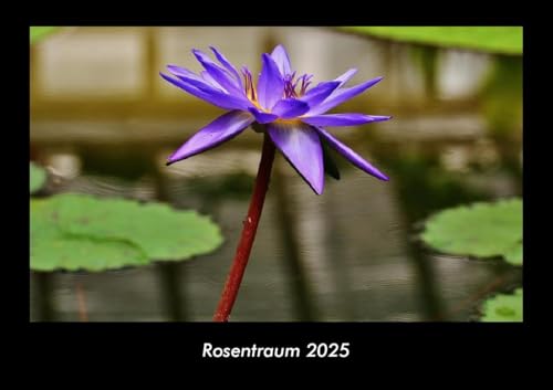 Rosentraum 2025 Fotokalender DIN A3: Monatskalender mit Bild-Motiven aus Fauna und Flora, Natur, Blumen und Pflanzen Rosentraum 2025 Fotokalender DIN A3: Monatskalender mit Bild-Motiven aus Fauna und Flora, Natur, Blumen und Pflanzen