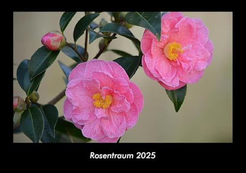 Rosentraum 2025 Fotokalender DIN A3: Monatskalender mit Bild-Motiven aus Fauna und Flora, Natur, Blumen und Pflanzen Rosentraum 2025 Fotokalender DIN A3: Monatskalender mit Bild-Motiven aus Fauna und Flora, Natur, Blumen und Pflanzen