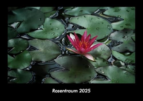 Rosentraum 2025 Fotokalender DIN A3: Monatskalender mit Bild-Motiven aus Fauna und Flora, Natur, Blumen und Pflanzen Rosentraum 2025 Fotokalender DIN A3: Monatskalender mit Bild-Motiven aus Fauna und Flora, Natur, Blumen und Pflanzen