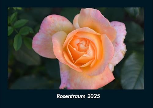 Rosentraum 2025 Fotokalender DIN A4: Monatskalender mit Bild-Motiven aus Fauna und Flora, Natur, Blumen und Pflanzen Rosentraum 2025 Fotokalender DIN A4: Monatskalender mit Bild-Motiven aus Fauna und Flora, Natur, Blumen und Pflanzen