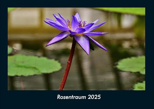 Rosentraum 2025 Fotokalender DIN A4: Monatskalender mit Bild-Motiven aus Fauna und Flora, Natur, Blumen und Pflanzen Rosentraum 2025 Fotokalender DIN A4: Monatskalender mit Bild-Motiven aus Fauna und Flora, Natur, Blumen und Pflanzen