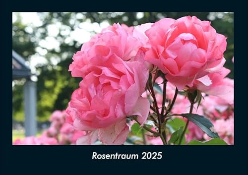 Rosentraum 2025 Fotokalender DIN A4: Monatskalender mit Bild-Motiven aus Fauna und Flora, Natur, Blumen und Pflanzen Rosentraum 2025 Fotokalender DIN A4: Monatskalender mit Bild-Motiven aus Fauna und Flora, Natur, Blumen und Pflanzen