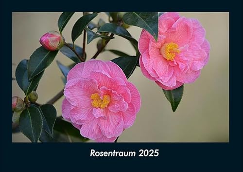 Rosentraum 2025 Fotokalender DIN A4: Monatskalender mit Bild-Motiven aus Fauna und Flora, Natur, Blumen und Pflanzen Rosentraum 2025 Fotokalender DIN A4: Monatskalender mit Bild-Motiven aus Fauna und Flora, Natur, Blumen und Pflanzen
