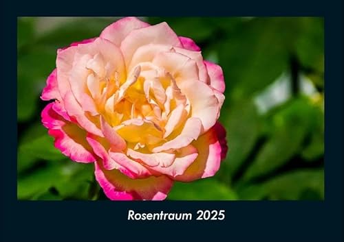 Rosentraum 2025 Fotokalender DIN A4: Monatskalender mit Bild-Motiven aus Fauna und Flora, Natur, Blumen und Pflanzen Rosentraum 2025 Fotokalender DIN A4: Monatskalender mit Bild-Motiven aus Fauna und Flora, Natur, Blumen und Pflanzen