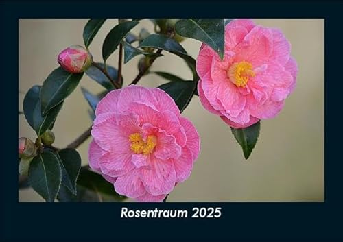 Rosentraum 2025 Fotokalender DIN A5: Monatskalender mit Bild-Motiven aus Fauna und Flora, Natur, Blumen und Pflanzen Rosentraum 2025 Fotokalender DIN A5: Monatskalender mit Bild-Motiven aus Fauna und Flora, Natur, Blumen und Pflanzen