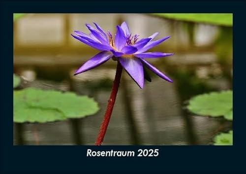 Rosentraum 2025 Fotokalender DIN A5: Monatskalender mit Bild-Motiven aus Fauna und Flora, Natur, Blumen und Pflanzen Rosentraum 2025 Fotokalender DIN A5: Monatskalender mit Bild-Motiven aus Fauna und Flora, Natur, Blumen und Pflanzen