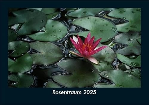 Rosentraum 2025 Fotokalender DIN A5: Monatskalender mit Bild-Motiven aus Fauna und Flora, Natur, Blumen und Pflanzen Rosentraum 2025 Fotokalender DIN A5: Monatskalender mit Bild-Motiven aus Fauna und Flora, Natur, Blumen und Pflanzen