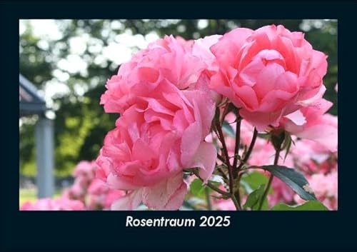 Rosentraum 2025 Fotokalender DIN A5: Monatskalender mit Bild-Motiven aus Fauna und Flora, Natur, Blumen und Pflanzen Rosentraum 2025 Fotokalender DIN A5: Monatskalender mit Bild-Motiven aus Fauna und Flora, Natur, Blumen und Pflanzen