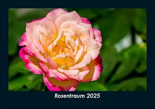 Rosentraum 2025 Fotokalender DIN A5: Monatskalender mit Bild-Motiven aus Fauna und Flora, Natur, Blumen und Pflanzen Rosentraum 2025 Fotokalender DIN A5: Monatskalender mit Bild-Motiven aus Fauna und Flora, Natur, Blumen und Pflanzen