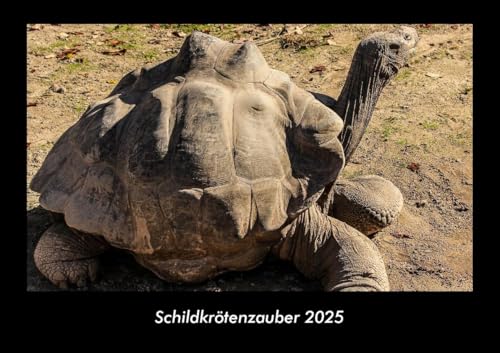 Schildkrötenzauber 2025 Fotokalender DIN A3: Monatskalender mit Bild-Motiven aus Fauna und Flora, Natur, Blumen und Pflanzen Schildkrötenzauber 2025 Fotokalender DIN A3: Monatskalender mit Bild-Motiven aus Fauna und Flora, Natur, Blumen und Pflanzen