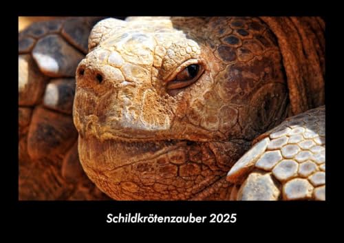Schildkrötenzauber 2025 Fotokalender DIN A3: Monatskalender mit Bild-Motiven von Haustieren, Bauernhof, wilden Tieren und Raubtieren Schildkrötenzauber 2025 Fotokalender DIN A3: Monatskalender mit Bild-Motiven von Haustieren, Bauernhof, wilden Tieren und Raubtieren