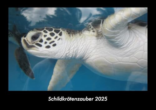 Schildkrötenzauber 2025 Fotokalender DIN A3: Monatskalender mit Bild-Motiven von Haustieren, Bauernhof, wilden Tieren und Raubtieren Schildkrötenzauber 2025 Fotokalender DIN A3: Monatskalender mit Bild-Motiven von Haustieren, Bauernhof, wilden Tieren und Raubtieren