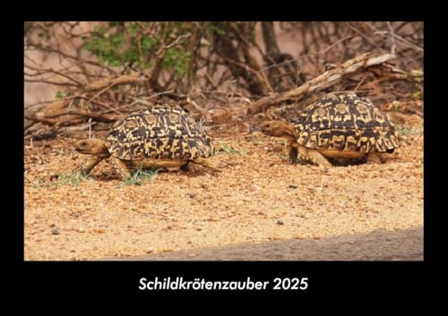 Schildkrötenzauber 2025 Fotokalender DIN A3: Monatskalender mit Bild-Motiven von Haustieren, Bauernhof, wilden Tieren und Raubtieren Schildkrötenzauber 2025 Fotokalender DIN A3: Monatskalender mit Bild-Motiven von Haustieren, Bauernhof, wilden Tieren und Raubtieren