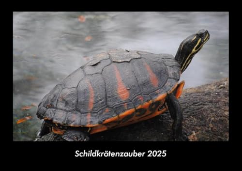 Schildkrötenzauber 2025 Fotokalender DIN A3: Monatskalender mit Bild-Motiven von Haustieren, Bauernhof, wilden Tieren und Raubtieren Schildkrötenzauber 2025 Fotokalender DIN A3: Monatskalender mit Bild-Motiven von Haustieren, Bauernhof, wilden Tieren und Raubtieren