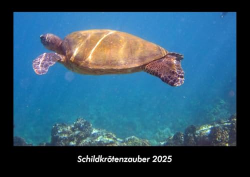 Schildkrötenzauber 2025 Fotokalender DIN A3: Monatskalender mit Bild-Motiven von Haustieren, Bauernhof, wilden Tieren und Raubtieren Schildkrötenzauber 2025 Fotokalender DIN A3: Monatskalender mit Bild-Motiven von Haustieren, Bauernhof, wilden Tieren und Raubtieren