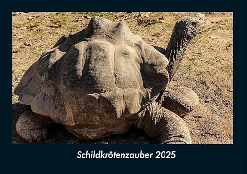 Schildkrötenzauber 2025 Fotokalender DIN A4: Monatskalender mit Bild-Motiven aus Fauna und Flora, Natur, Blumen und Pflanzen Schildkrötenzauber 2025 Fotokalender DIN A4: Monatskalender mit Bild-Motiven aus Fauna und Flora, Natur, Blumen und Pflanzen
