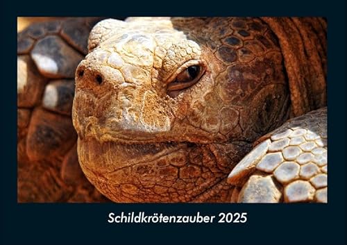 Schildkrötenzauber 2025 Fotokalender DIN A4: Monatskalender mit Bild-Motiven von Haustieren, Bauernhof, wilden Tieren und Raubtieren Schildkrötenzauber 2025 Fotokalender DIN A4: Monatskalender mit Bild-Motiven von Haustieren, Bauernhof, wilden Tieren und Raubtieren