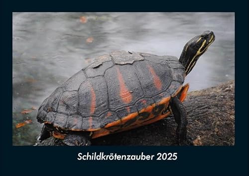 Schildkrötenzauber 2025 Fotokalender DIN A4: Monatskalender mit Bild-Motiven von Haustieren, Bauernhof, wilden Tieren und Raubtieren Schildkrötenzauber 2025 Fotokalender DIN A4: Monatskalender mit Bild-Motiven von Haustieren, Bauernhof, wilden Tieren und Raubtieren