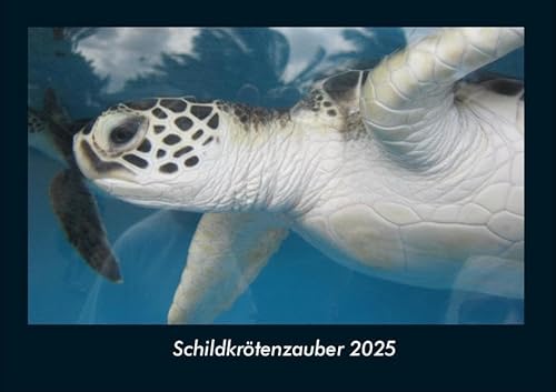 Schildkrötenzauber 2025 Fotokalender DIN A4: Monatskalender mit Bild-Motiven von Haustieren, Bauernhof, wilden Tieren und Raubtieren Schildkrötenzauber 2025 Fotokalender DIN A4: Monatskalender mit Bild-Motiven von Haustieren, Bauernhof, wilden Tieren und Raubtieren