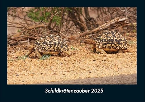 Schildkrötenzauber 2025 Fotokalender DIN A4: Monatskalender mit Bild-Motiven von Haustieren, Bauernhof, wilden Tieren und Raubtieren Schildkrötenzauber 2025 Fotokalender DIN A4: Monatskalender mit Bild-Motiven von Haustieren, Bauernhof, wilden Tieren und Raubtieren