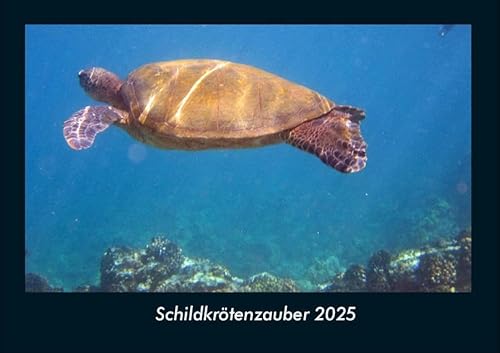 Schildkrötenzauber 2025 Fotokalender DIN A4: Monatskalender mit Bild-Motiven von Haustieren, Bauernhof, wilden Tieren und Raubtieren Schildkrötenzauber 2025 Fotokalender DIN A4: Monatskalender mit Bild-Motiven von Haustieren, Bauernhof, wilden Tieren und Raubtieren