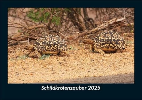 Schildkrötenzauber 2025 Fotokalender DIN A5: Monatskalender mit Bild-Motiven von Haustieren, Bauernhof, wilden Tieren und Raubtieren Schildkrötenzauber 2025 Fotokalender DIN A5: Monatskalender mit Bild-Motiven von Haustieren, Bauernhof, wilden Tieren und Raubtieren