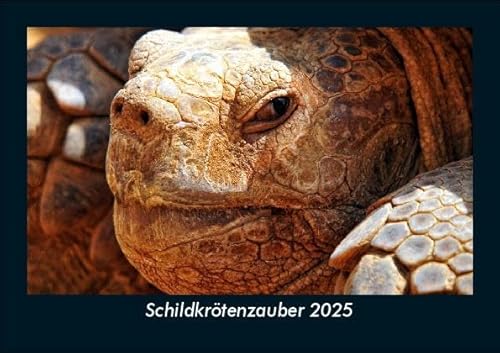 Schildkrötenzauber 2025 Fotokalender DIN A5: Monatskalender mit Bild-Motiven von Haustieren, Bauernhof, wilden Tieren und Raubtieren Schildkrötenzauber 2025 Fotokalender DIN A5: Monatskalender mit Bild-Motiven von Haustieren, Bauernhof, wilden Tieren und Raubtieren