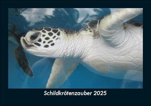 Schildkrötenzauber 2025 Fotokalender DIN A5: Monatskalender mit Bild-Motiven von Haustieren, Bauernhof, wilden Tieren und Raubtieren Schildkrötenzauber 2025 Fotokalender DIN A5: Monatskalender mit Bild-Motiven von Haustieren, Bauernhof, wilden Tieren und Raubtieren