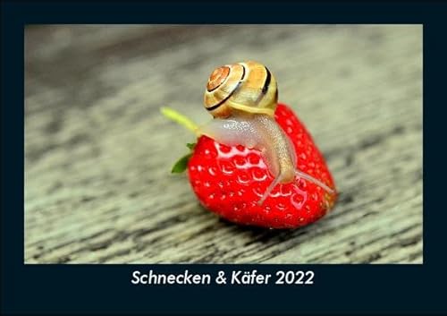Schnecken & Käfer 2022 Fotokalender DIN A5: Monatskalender mit Bild-Motiven von Haustieren, Bauernhof, wilden Tieren und Raubtieren Schnecken & Käfer 2022 Fotokalender DIN A5: Monatskalender mit Bild-Motiven von Haustieren, Bauernhof, wilden Tieren und Raubtieren
