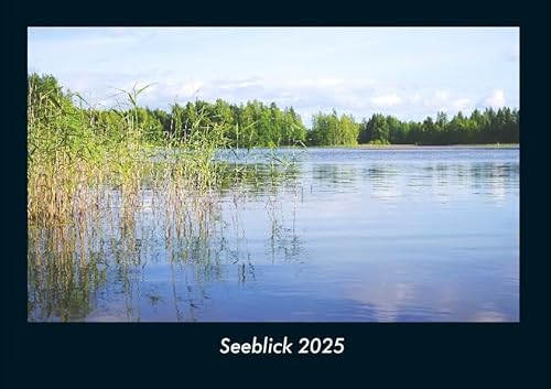 Seeblick 2025 Fotokalender DIN A4: Monatskalender mit Bild-Motiven aus Fauna und Flora, Natur, Blumen und Pflanzen Seeblick 2025 Fotokalender DIN A4: Monatskalender mit Bild-Motiven aus Fauna und Flora, Natur, Blumen und Pflanzen