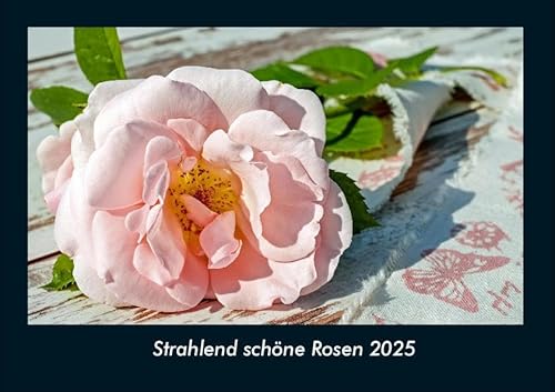 Strahlend schöne Rosen 2025 Fotokalender DIN A4: Monatskalender mit Bild-Motiven aus Fauna und Flora, Natur, Blumen und Pflanzen Strahlend schöne Rosen 2025 Fotokalender DIN A4: Monatskalender mit Bild-Motiven aus Fauna und Flora, Natur, Blumen und Pflanzen