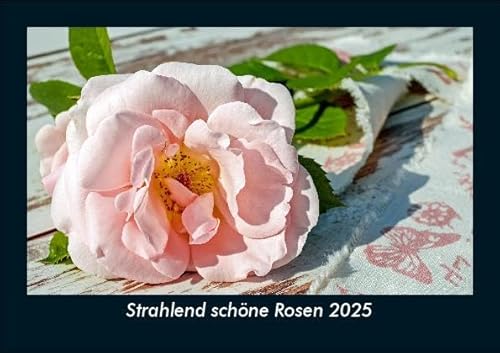 Strahlend schöne Rosen 2025 Fotokalender DIN A5: Monatskalender mit Bild-Motiven aus Fauna und Flora, Natur, Blumen und Pflanzen Strahlend schöne Rosen 2025 Fotokalender DIN A5: Monatskalender mit Bild-Motiven aus Fauna und Flora, Natur, Blumen und Pflanzen