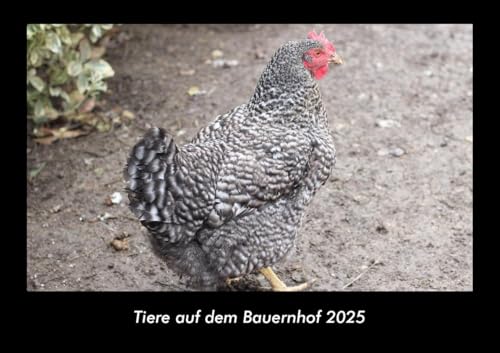 Tiere auf dem Bauernhof 2025 Fotokalender DIN A3: Monatskalender mit Bild-Motiven von Haustieren, Bauernhof, wilden Tieren und Raubtieren Tiere auf dem Bauernhof 2025 Fotokalender DIN A3: Monatskalender mit Bild-Motiven von Haustieren, Bauernhof, wilden Tieren und Raubtieren
