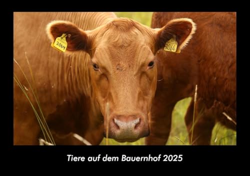 Tiere auf dem Bauernhof 2025 Fotokalender DIN A3: Monatskalender mit Bild-Motiven von Haustieren, Bauernhof, wilden Tieren und Raubtieren Tiere auf dem Bauernhof 2025 Fotokalender DIN A3: Monatskalender mit Bild-Motiven von Haustieren, Bauernhof, wilden Tieren und Raubtieren